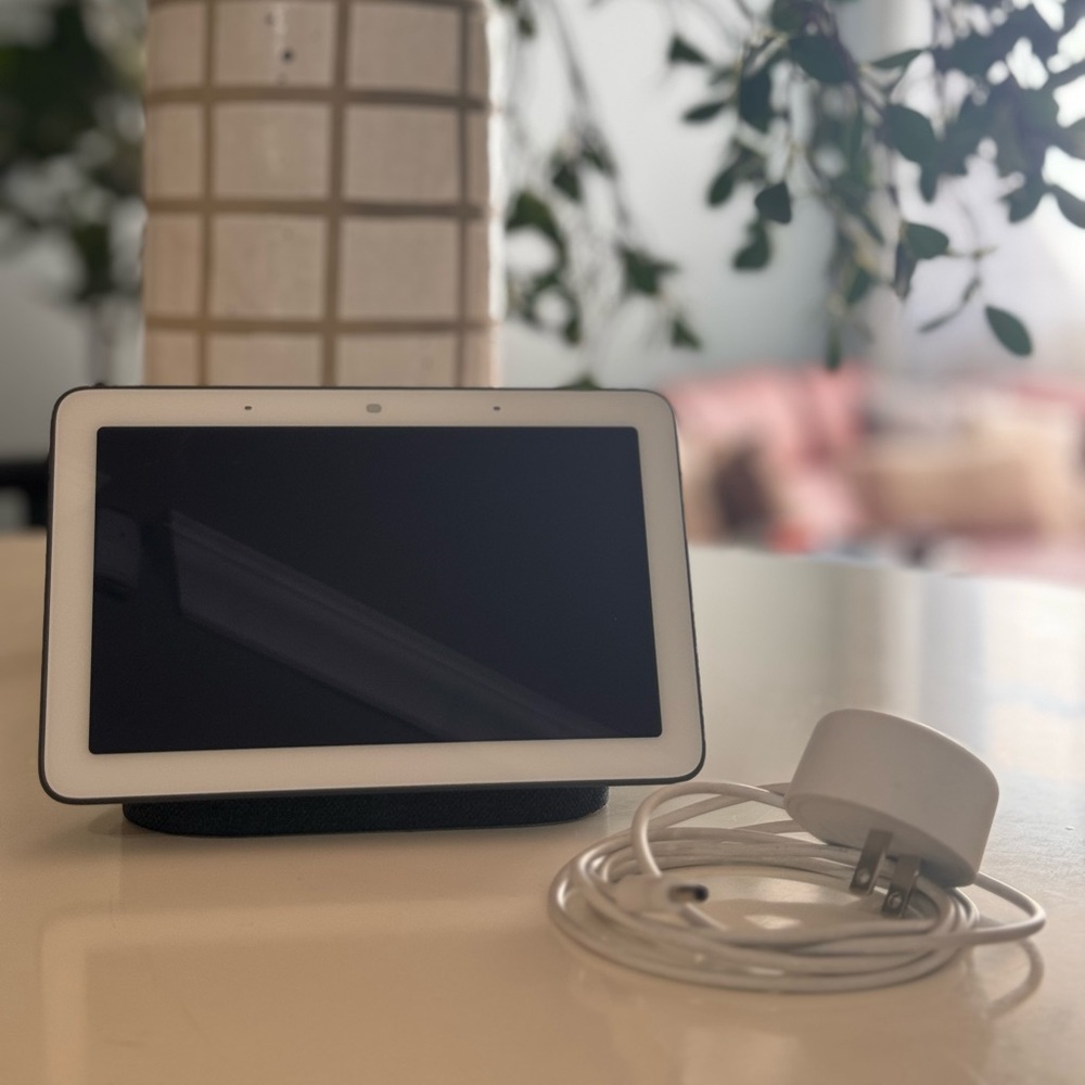 Google Nest Hub 1st Gen